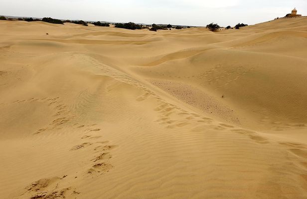 Jaisalmer One Day Sightseeing Tour