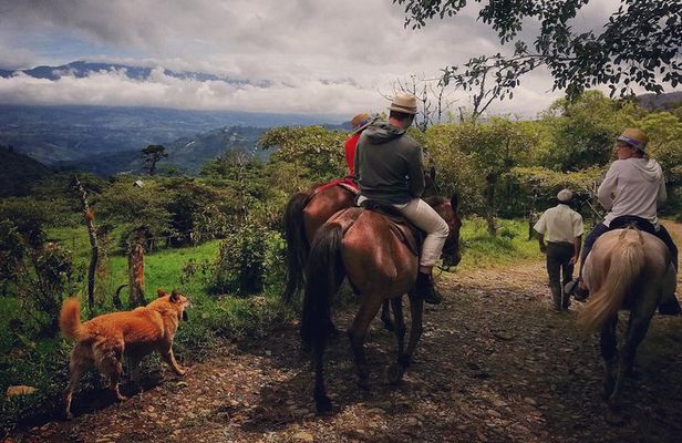 Queveri Horseback Riding Tours