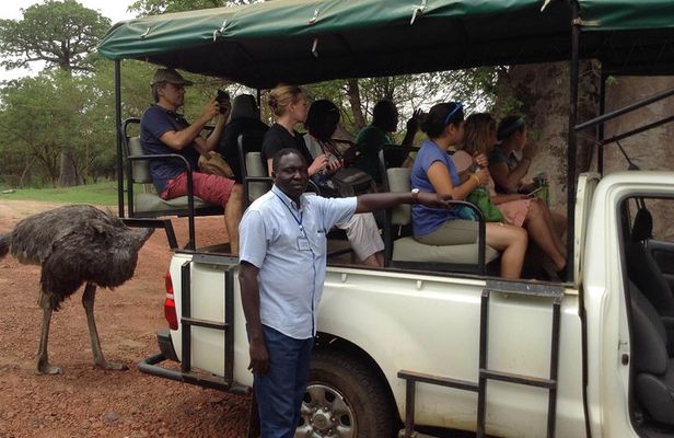 Full-day Bandia / Somone Lagoon: The safari experience