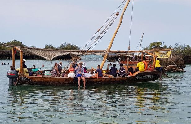 Ocean safari tour