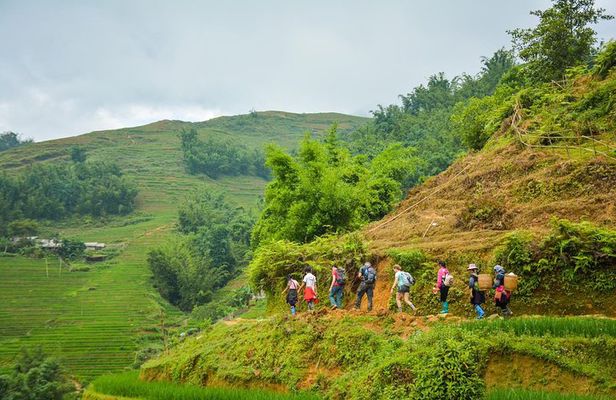 Trekking Through Rice Terraced Fields - 1Day