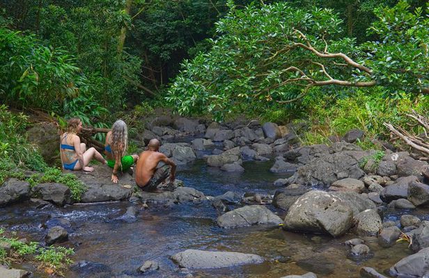 Custom Island Adventure Tours