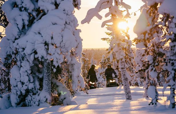 1-Hour Snowmobile Safari Experience