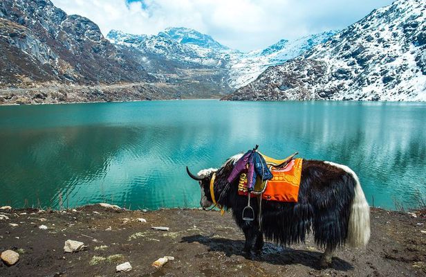 Excursion to North Sikkim Lachen and Lachung 6 Days