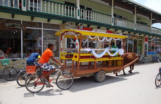 Full day Discovery Tour of La Digue Island from Praslin Island