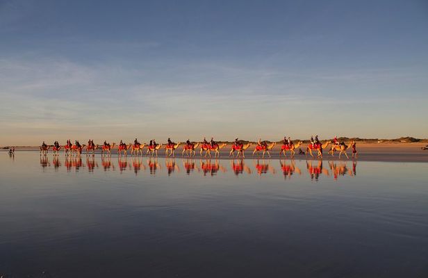 1 Hour Broome Sunset Camel Tour on Cable Beach