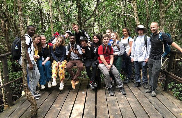 Jozan forest tour