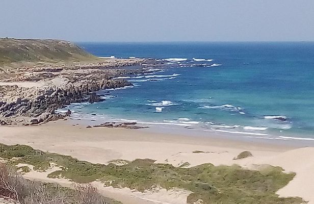 Guided Marine Walk: - Sardinia Bay (Marine Protected Area) - 2 hours