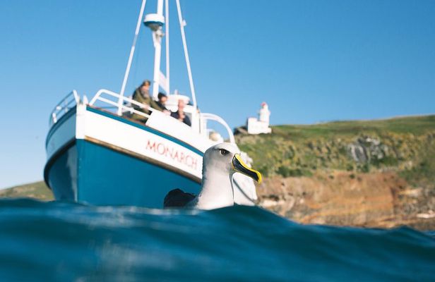 Monarch Wildlife Cruise