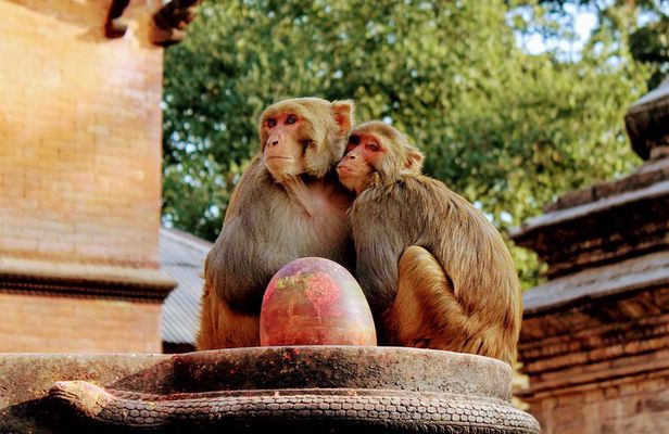 Full Day Private Tour of Kathmandu - UNESCO World Heritage Sites