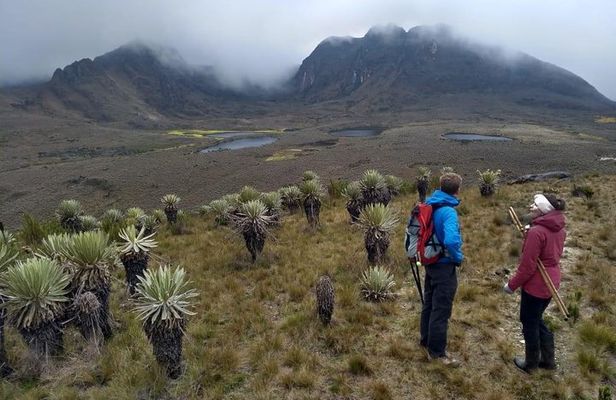 Sumapaz Mountaintop Páramo Trek