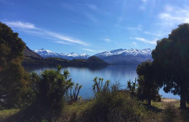 1-Hour Ruby Island Cruise and Walk from Wanaka