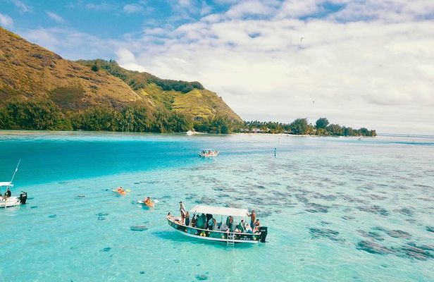 Lagoon Tour - Discover the magnificent lagoon of Moorea
