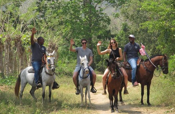 Eco-Tour on Horseback