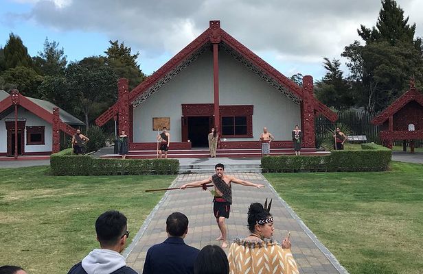 6hr Rotorua Geothermal Wonderland Tour - Departs Tauranga