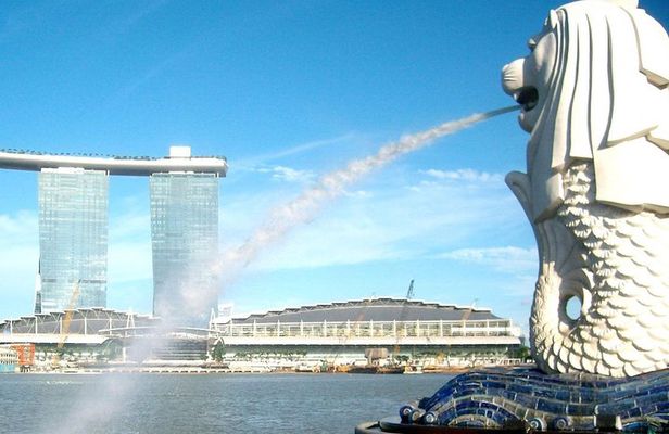 City Tour+Gardens by the Bay(FlowerDome & CloudForest) Transfers
