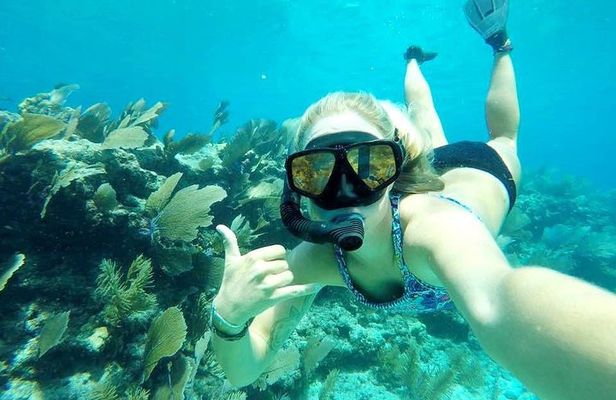 Half-Day Trip from Key West with Kayaking, Snorkeling & Sunset