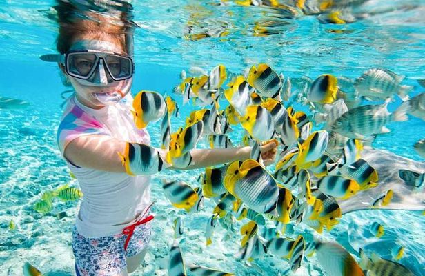 Red Sea Snorkeling Hurgada