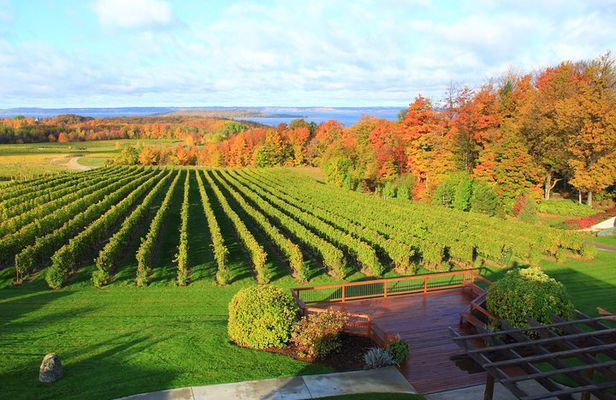 5 Hour Traverse City Wine Tour 4 Wineries on Old Mission