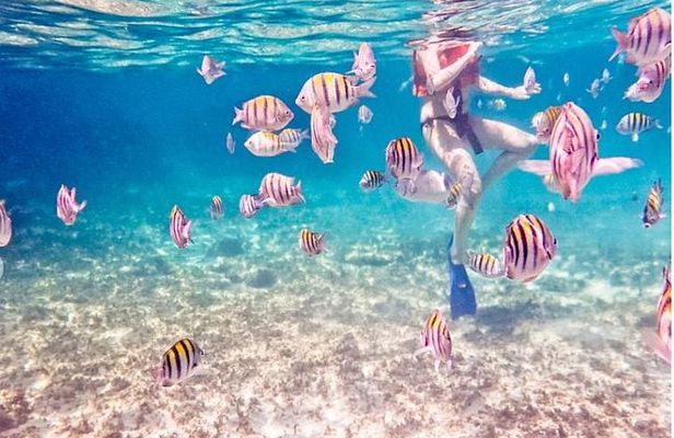 4H Luxury 44' Catamaran All-Inclusive in Tulum & Playa del Carmen