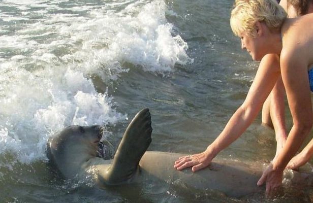 See the Coastal Landscape on This Tour of the Carian Trail