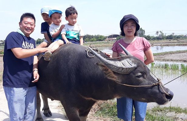 Cycling, Buffalo, Basket Boat ride in Hoi An
