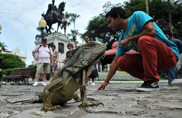 Private Guayaquil City Tour