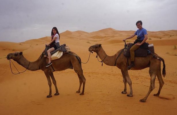 3 Days Tour From Marrakech To Fez Via Merzouga Desert, Camel Ride