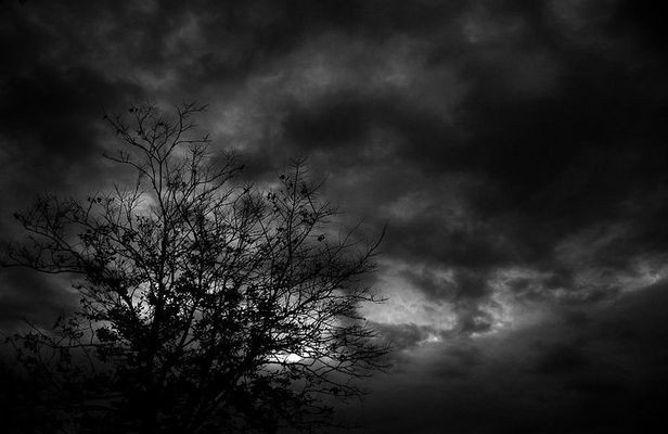 Mysteries and Murders Night Tour