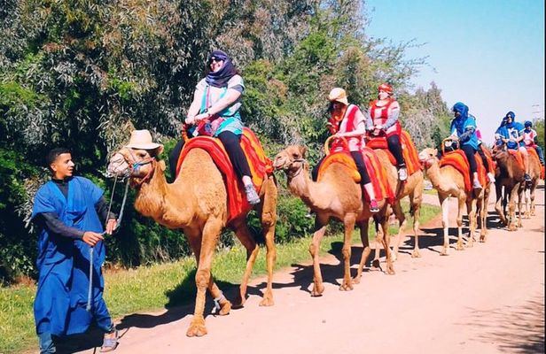 5 Valleys Atlas mountains day trip from Marrakech with camel ride