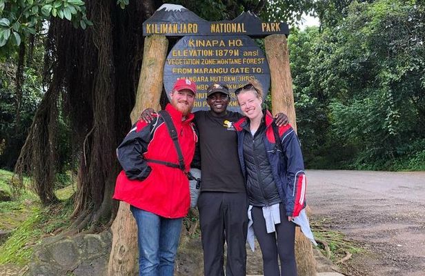 1 day tour hike mount kilimanjaro through marangu route