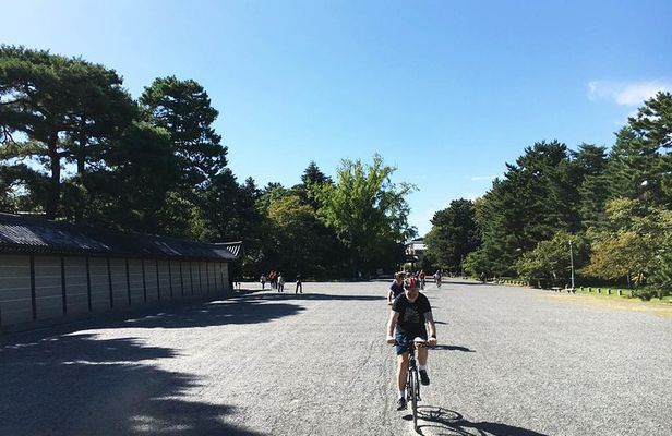 Full Day Biking Tour Exploring the Best of Kyoto
