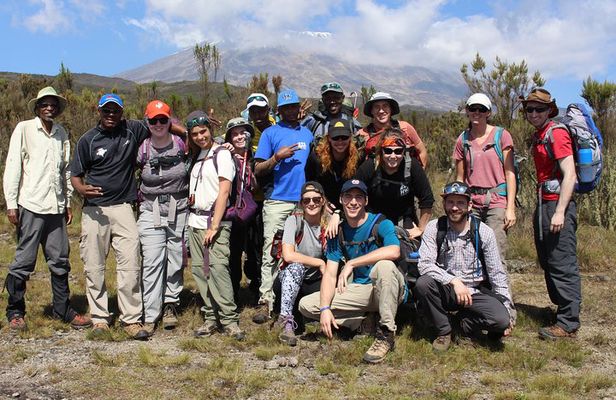 Kilimanjaro Lemosho Route 7 Days