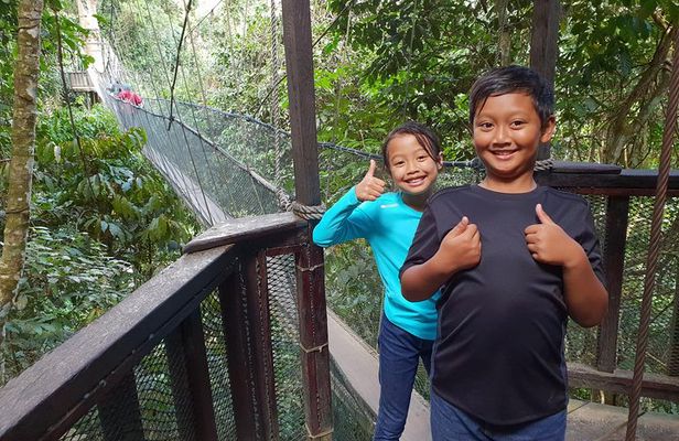 Private Desa Dairy Farm, Kinabalu National Park, Hot Spring & Canopy Walk Tour