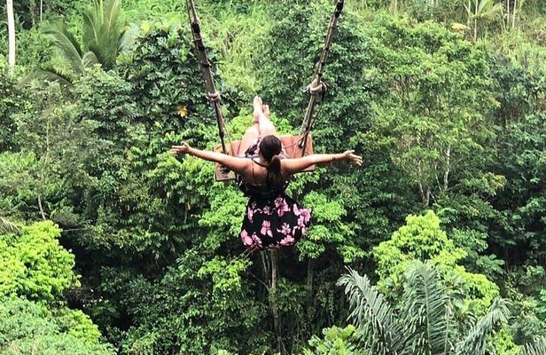 Nungnung waterfall, Sangeh village & Bali swing