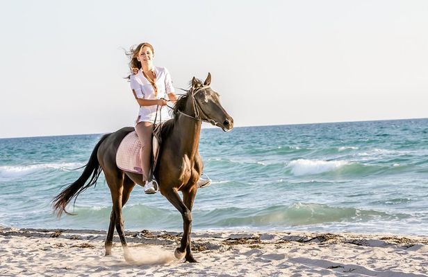 Bodrum Horseback Riding Experience with Hotel Transfer