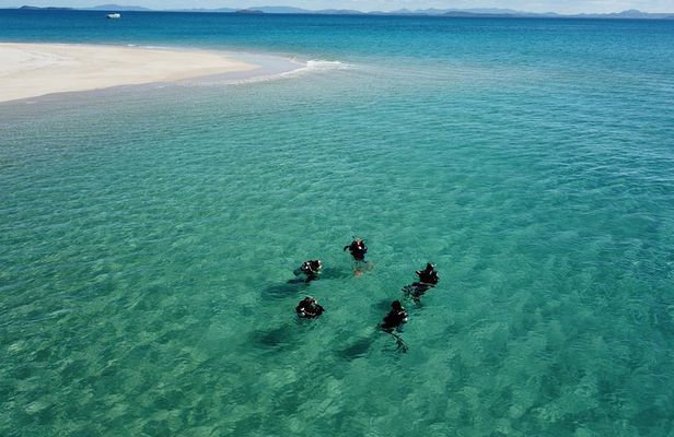 Great Keppel Island PADI Discover Scuba Dive with Keppel Dive