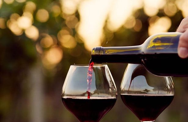 Wine Tasting Tour
