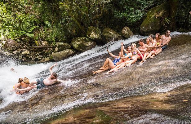 Fun, Falls and Forests Day Trip from Cairns