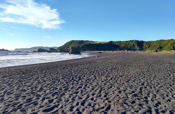 Biobío River Estuary and Rocoto Beach