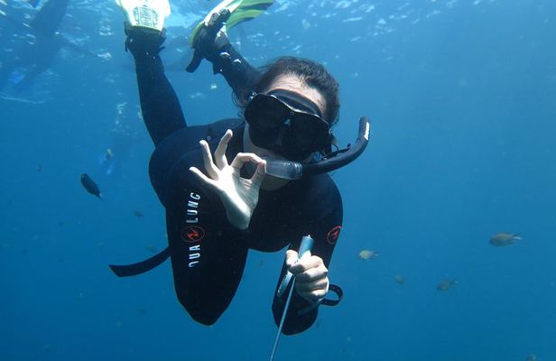 Snorkeling Trip Tulamben Bali