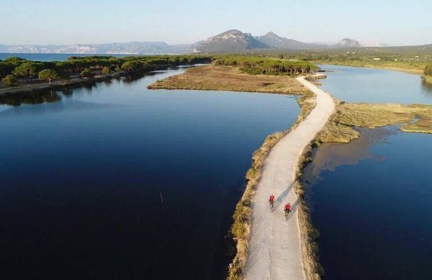 From the hills to Oasi Biderosa & Capo Comino with Electric Mountain Bikes