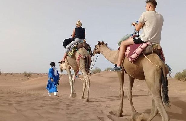 Private - Camel Ride Tour with Dune Bashing, BBQ Dinner and Belly Dance