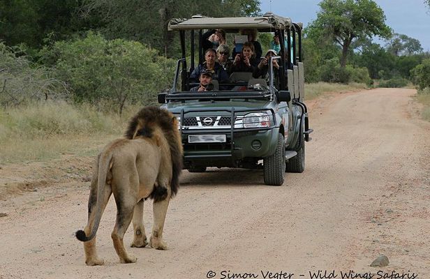 3-Day Kruger National Park Open Vehicle Safari