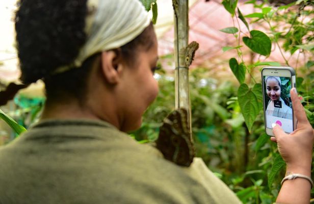 Mindo: Bird watching, Chocolate, Waterfall and Adventure