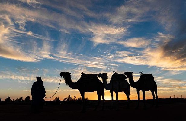 Agadir Camel Riding +Sunset and Dinner( barbecue)