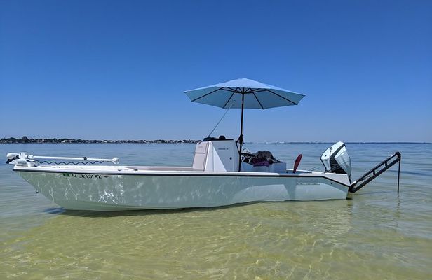 4 hour Fishing Charter with a Tampa Native