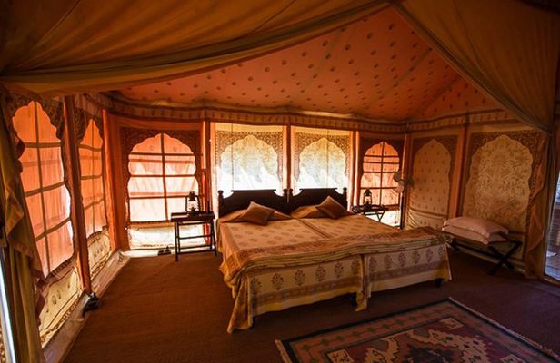 Overnight Camping With Camel Safari In Jodhpur