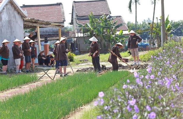 Half Day Cooking Class At Tra Que Vegetable Village Hoi An