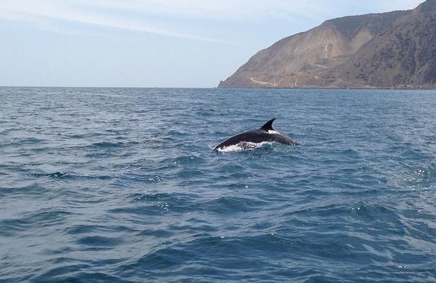 Journey to Frog Rock